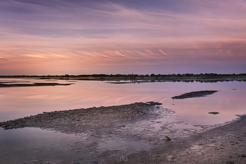 Camargue