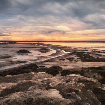Camargue