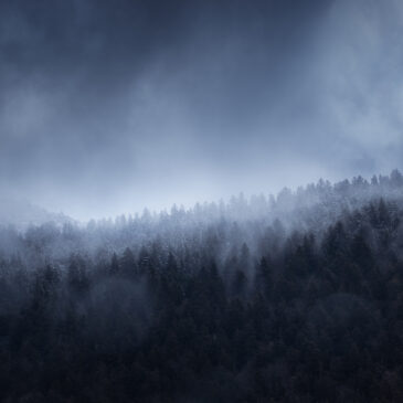 Vercors