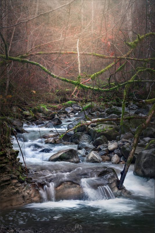 La rivière enchevêtrée