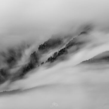 Raz-de-Marée sur la Forêt Alpine