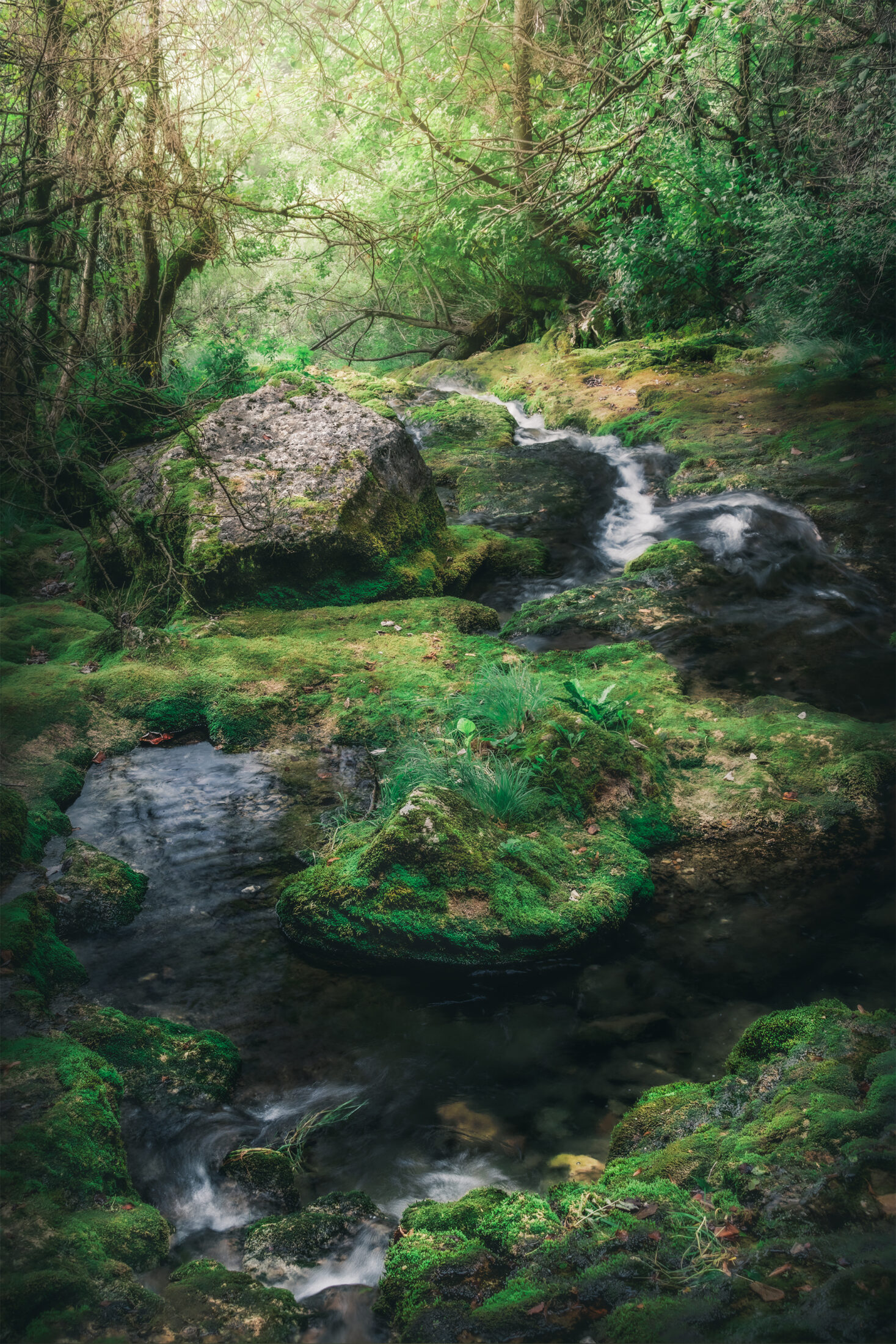 Rivière du Gournier