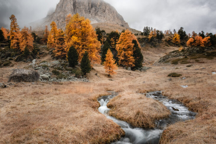 Vallée de la Clarée