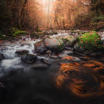 Torrent en sous-bois aux couleurs d'automne