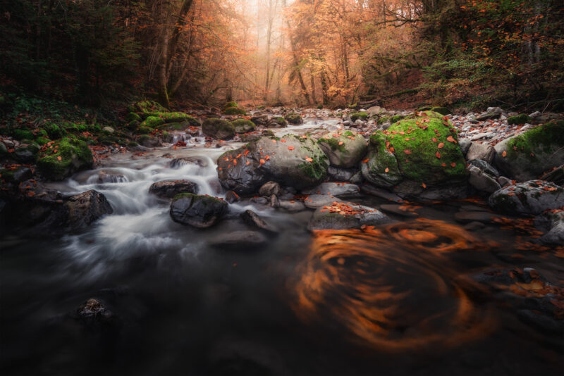Torrent en sous-bois aux couleurs d'automne