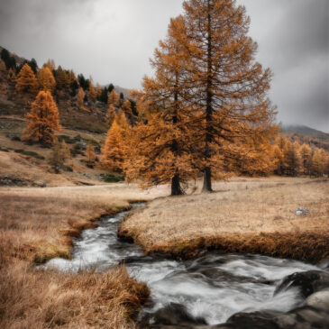 Vallée de la Clarée