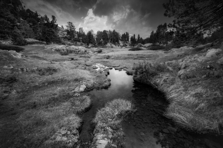 Zone humide du lac Achard