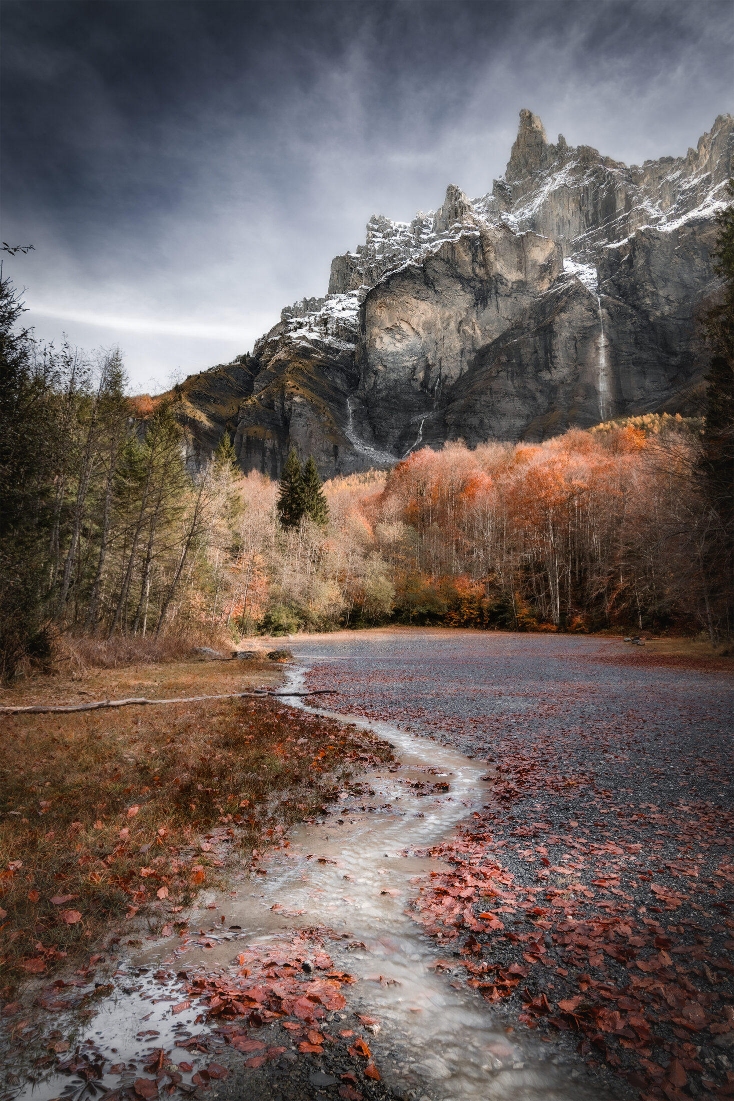 Cornes du chamois - Sixt-Fer-à-Cheval