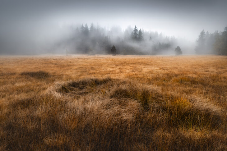 Brume mystique